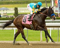 Bodemeister
