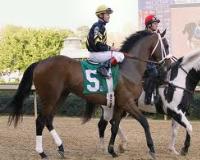 Optimizer
