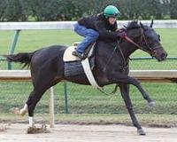 Take Charge Indy