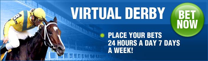 Virtual Derby