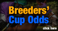 2013 Breeders Cup odds