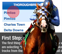 Racebook Tutorial