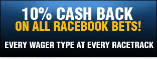 10% Cash Back On All Horse racebook