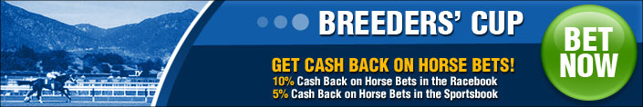 Breeders Cup Bets