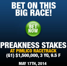 Preakness Stakes Betting