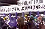 Belmont Park Contact