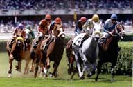 Racing at Belmont