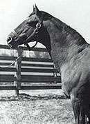 Man o'War